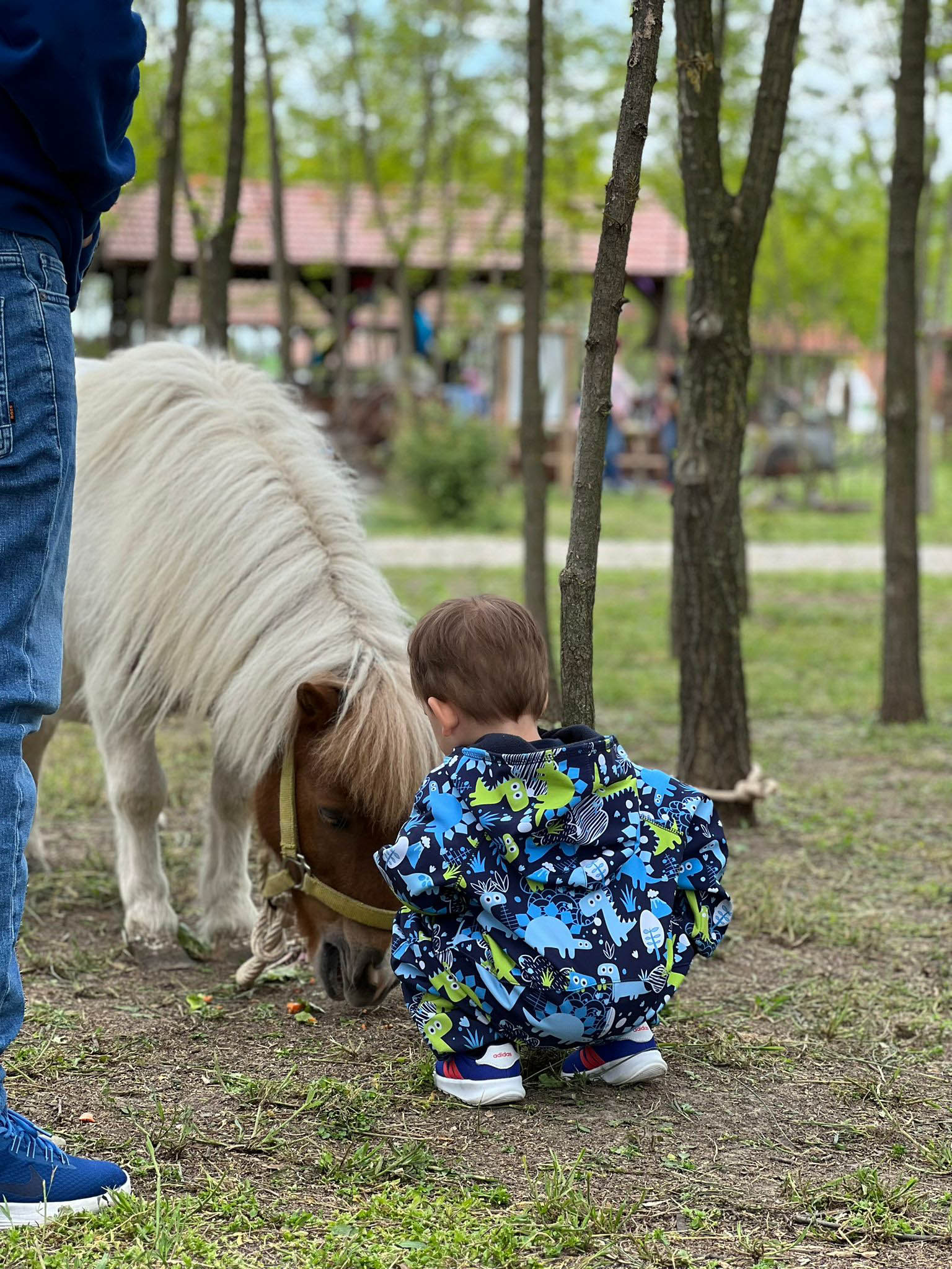 Parcul Ferma Ancutei