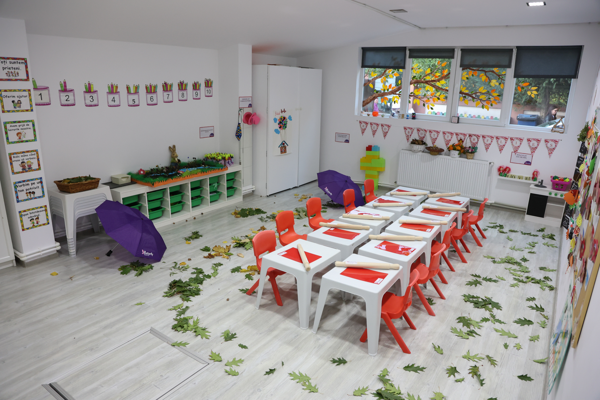 Butterfly Cosmopolis