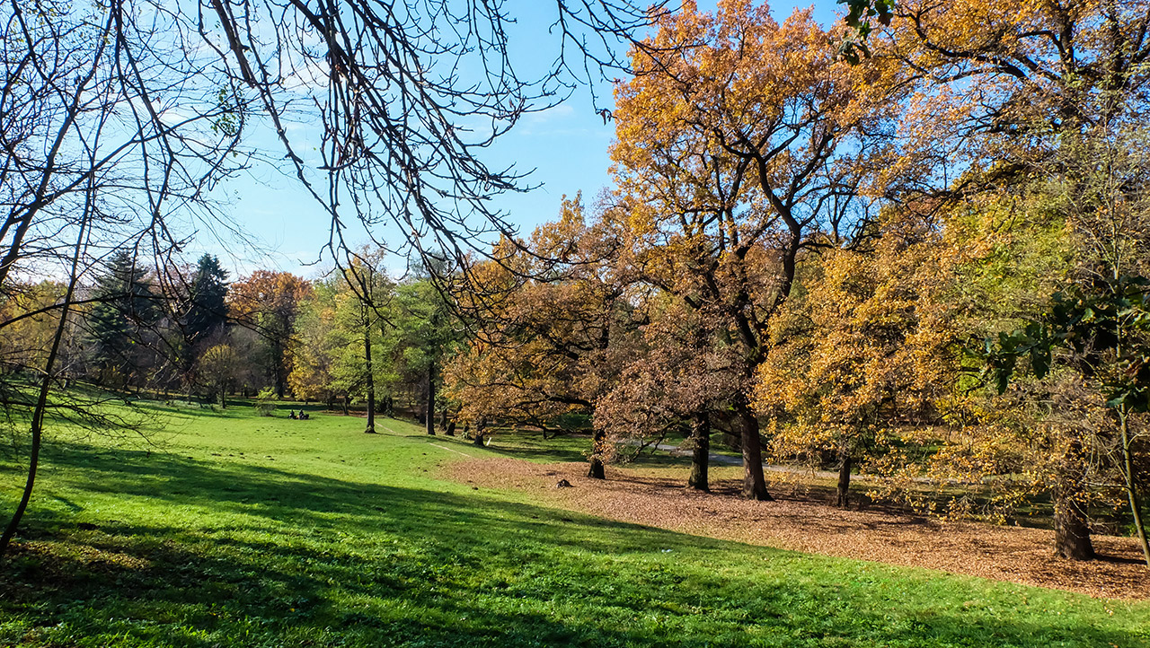 Parcul Sub Arini din Sibiu: atracții și locuri de joacă pentru copii